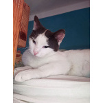 Зюфа ищет дом