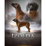 Баварской горной гончей щенки