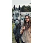 Орловский рысак