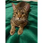 Спасите Яшку !