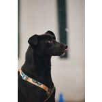 Чернушка: та, кто научит ценить доверие.