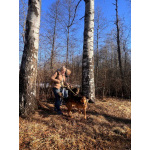 Верные и преданые товарищи-собаки ищут дом