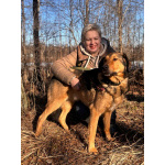 Верные и преданые товарищи-собаки ищут дом