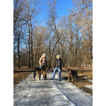 Верные и преданые товарищи-собаки ищут дом