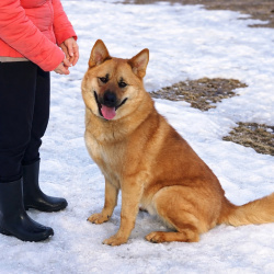 Рич ищет дом!