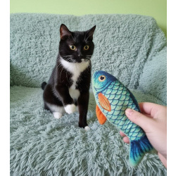 Чудесный котик Марсель ищет любящих хозяев!