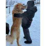 Мягкий и пушистый Лучик ищет дом!