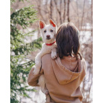 Бесподобный домашний щенок Пилот ищет дом