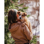 Милейшая Дива,домашняя девочка-щенок ищет дом