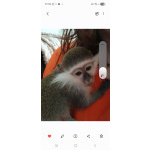 Светлана Юрьевна Первушина