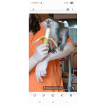 Светлана Юрьевна Первушина