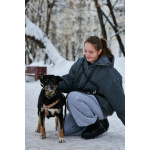 Вива – не помнящая зла