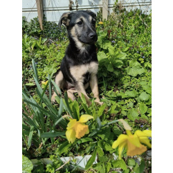 Маленькая крошка с большой любовью к игрушкам