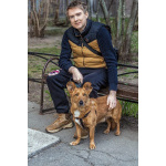 Красивый маленький воспитанный пёсик