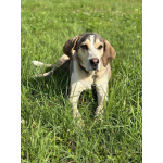 Три года надежды в глазах Рэя.