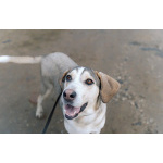 Три года надежды в глазах Рэя.