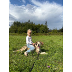 Три года надежды в глазах Рэя.