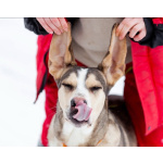 Три года надежды в глазах Рэя.