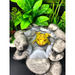 Рогатая лягушка