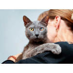 Гера ищет дом: доверчивое сердце, которое верит в людей вопреки всему