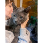 Гера ищет дом: доверчивое сердце, которое верит в людей вопреки всему