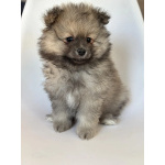 Малыши, рожденные 8 МАРТА