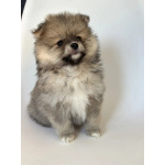 Малыши, рожденные 8 МАРТА