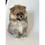 Малыши, рожденные 8 МАРТА