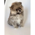 Малыши, рожденные 8 МАРТА