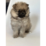 Малыши, рожденные 8 МАРТА