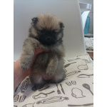 Малыши, рожденные 8 МАРТА