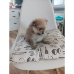 Малыши, рожденные 8 МАРТА