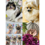 Малыши, рожденные 8 МАРТА