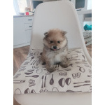 Малыши, рожденные 8 МАРТА