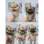 Малыши, рожденные 8 МАРТА