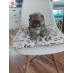 Малыши, рожденные 8 МАРТА