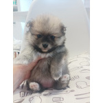 Малыши, рожденные 8 МАРТА