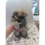 Малыши, рожденные 8 МАРТА