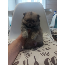 Малыши, рожденные 8 МАРТА