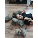 Малыши, рожденные 8 МАРТА