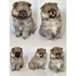 Малыши, рожденные 8 МАРТА