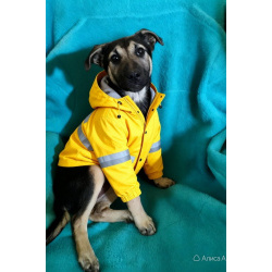 Маленькая Лила ищет большую и любящую семью