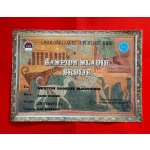 Кане корсо – кобель на продажу