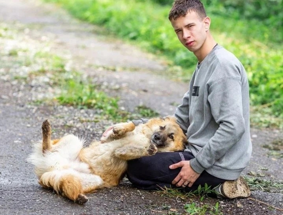 Умница и добряк Микки ищет дом.