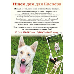 Каспер ищет дом