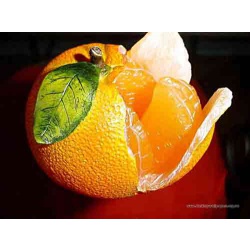 кусты апельсина