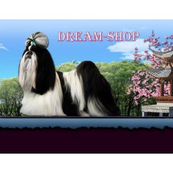 Интернет-магазин "Dream-shop", товары для собак