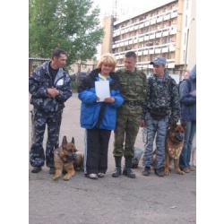 дрессировка собак в Омске - ОЦССС