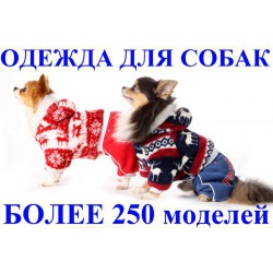 Одежда для Собак Зима 2014 год