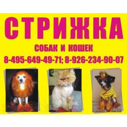 стрижка собак и кошек